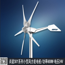 Home Use 600W Wind Turbine Generator (SKY 600W)